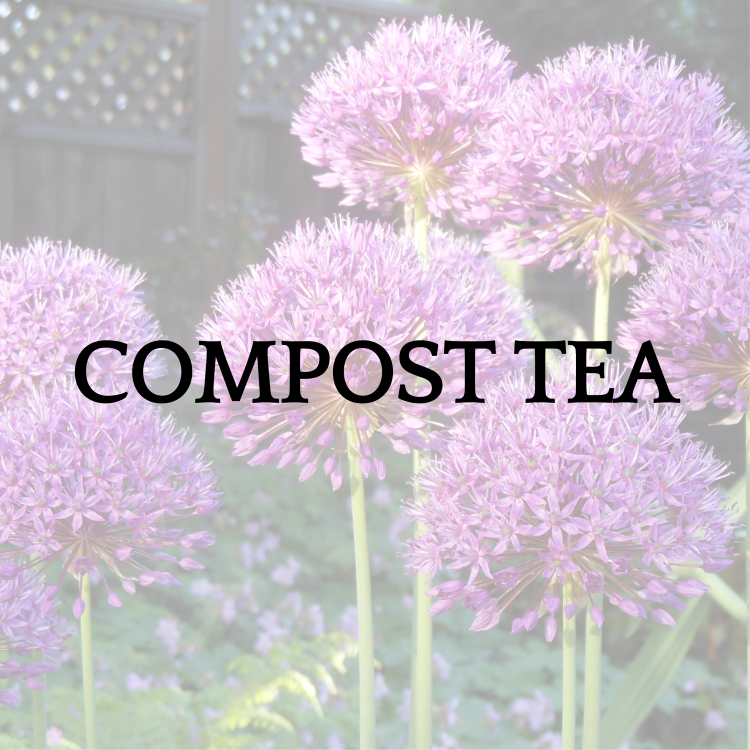 Compost Tea