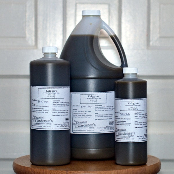Liquid Kelp Fertilizer