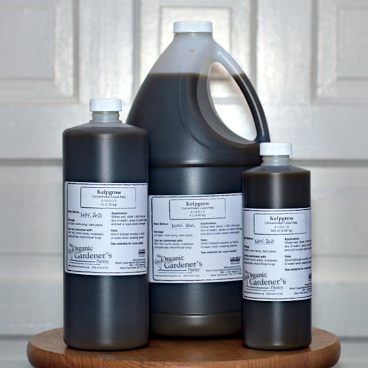 Liquid Kelp Fertilizer